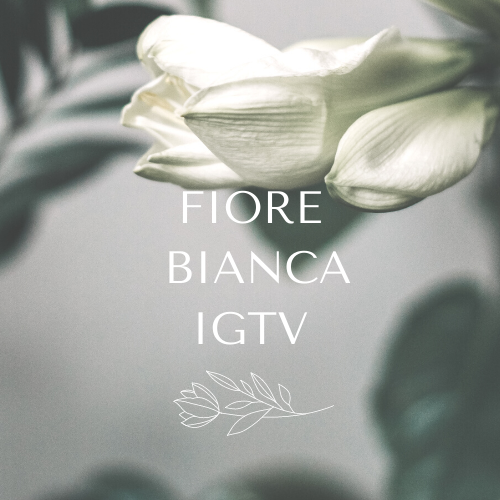 ＝Fiore Bianca IGTV＝